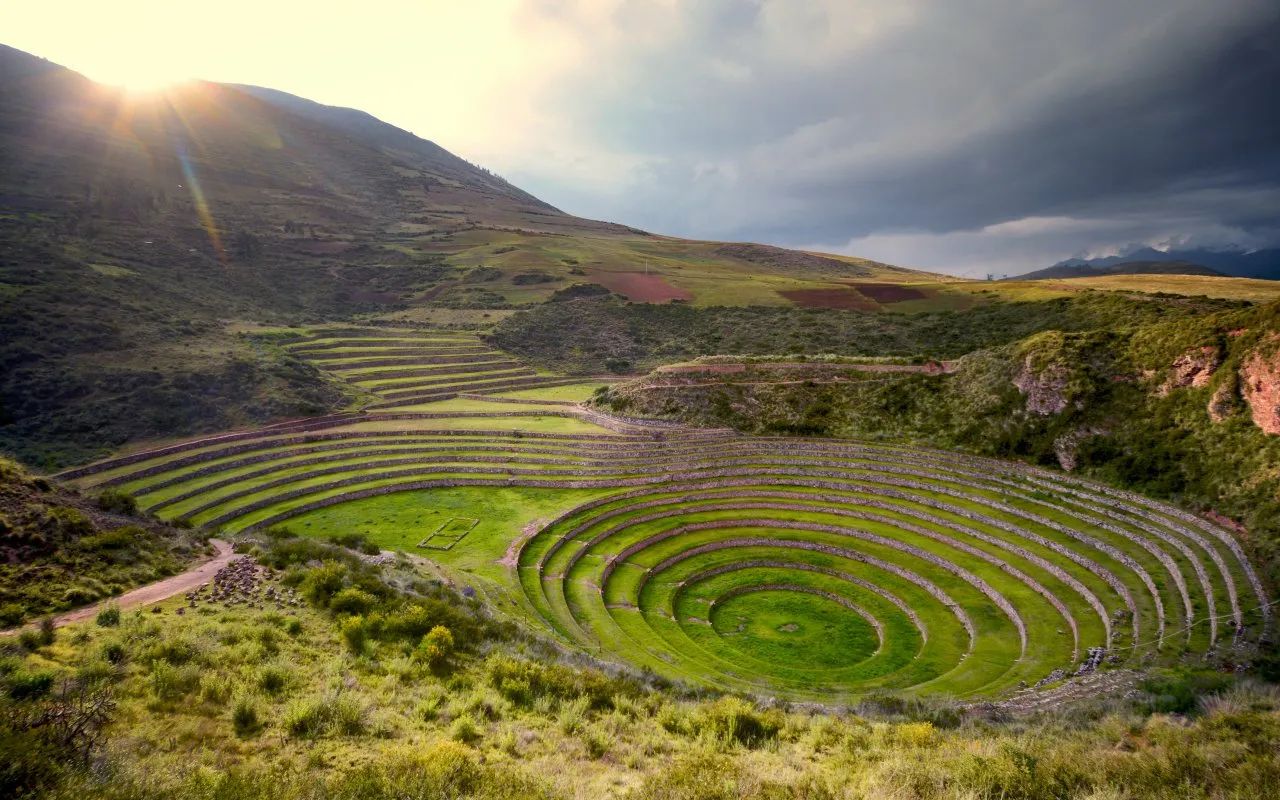 You are currently viewing Fiches pédagogiques